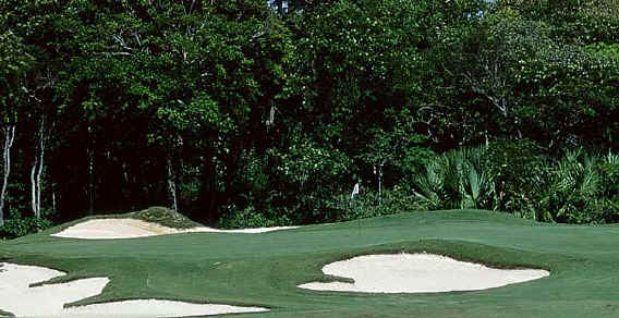 Golf at Playacar Palace